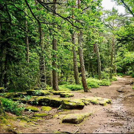 Lägenhet Le Nid Du Piemont Barr