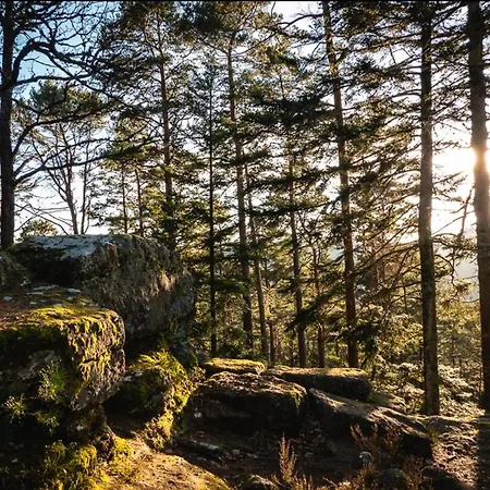 Le Nid Du Piemont * Barr
