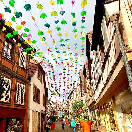 Le Nid Du Piémont Appartement Barr