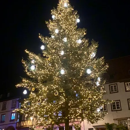 Le Nid Du Piemont