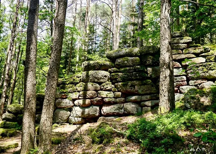 Le Nid Du Piemont Апартаменты